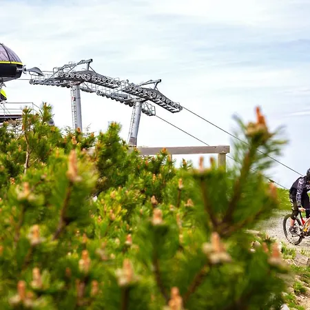 Czarna Gora 403 Sienna