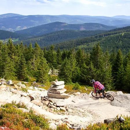 Czarna Gora 403 아파트 시에나