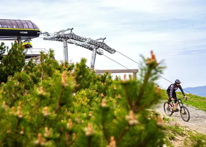 Czarna Gora 403 Sienna