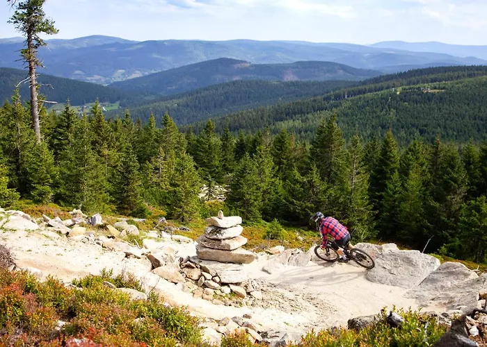 Czarna Gora 403 Appartement Siena